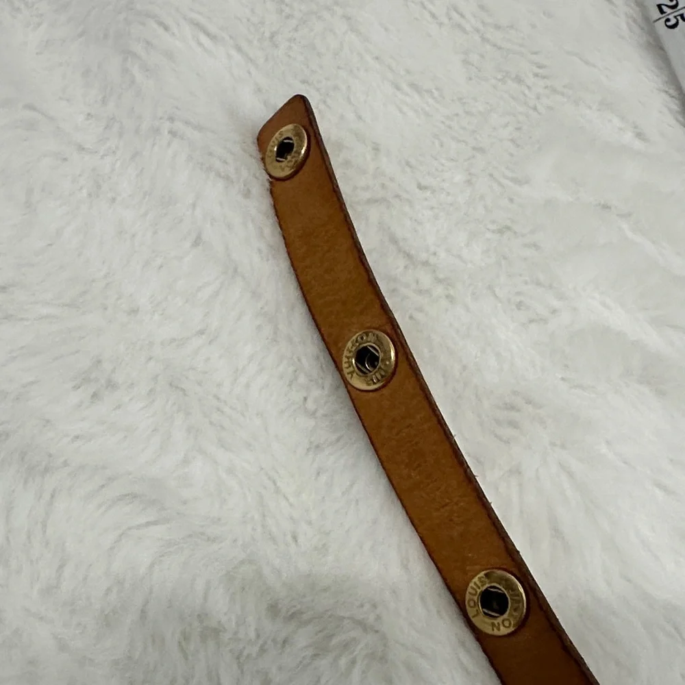 Louis Vuitton Florentine Belt Bag (Pochette Florentine) - Picture 15 of 16